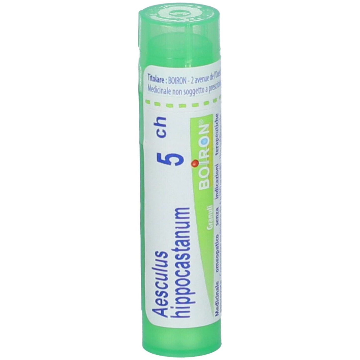 AESCULUS HIPPOCAST 5CH GR