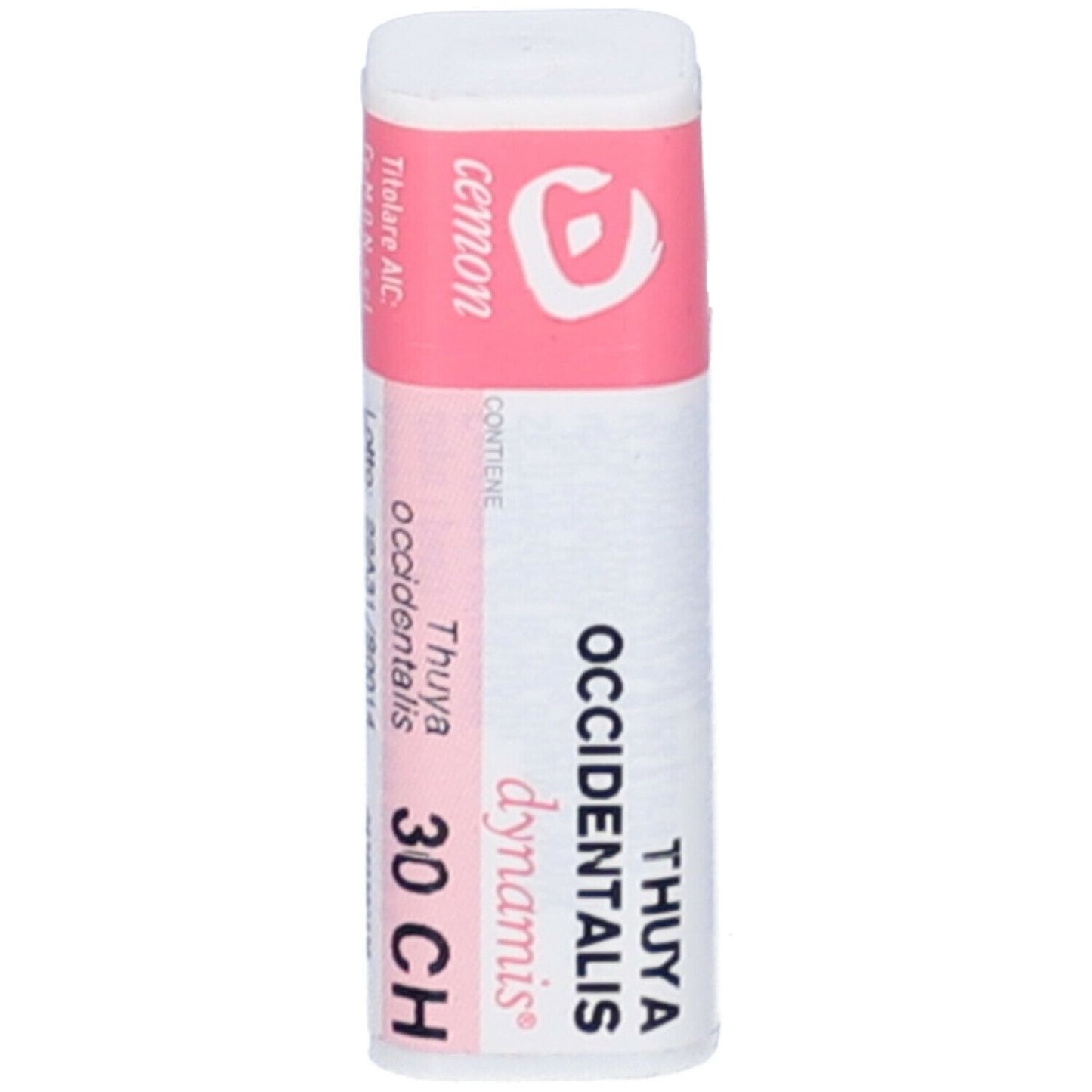 THUYA OCCIDENT 30CH GL