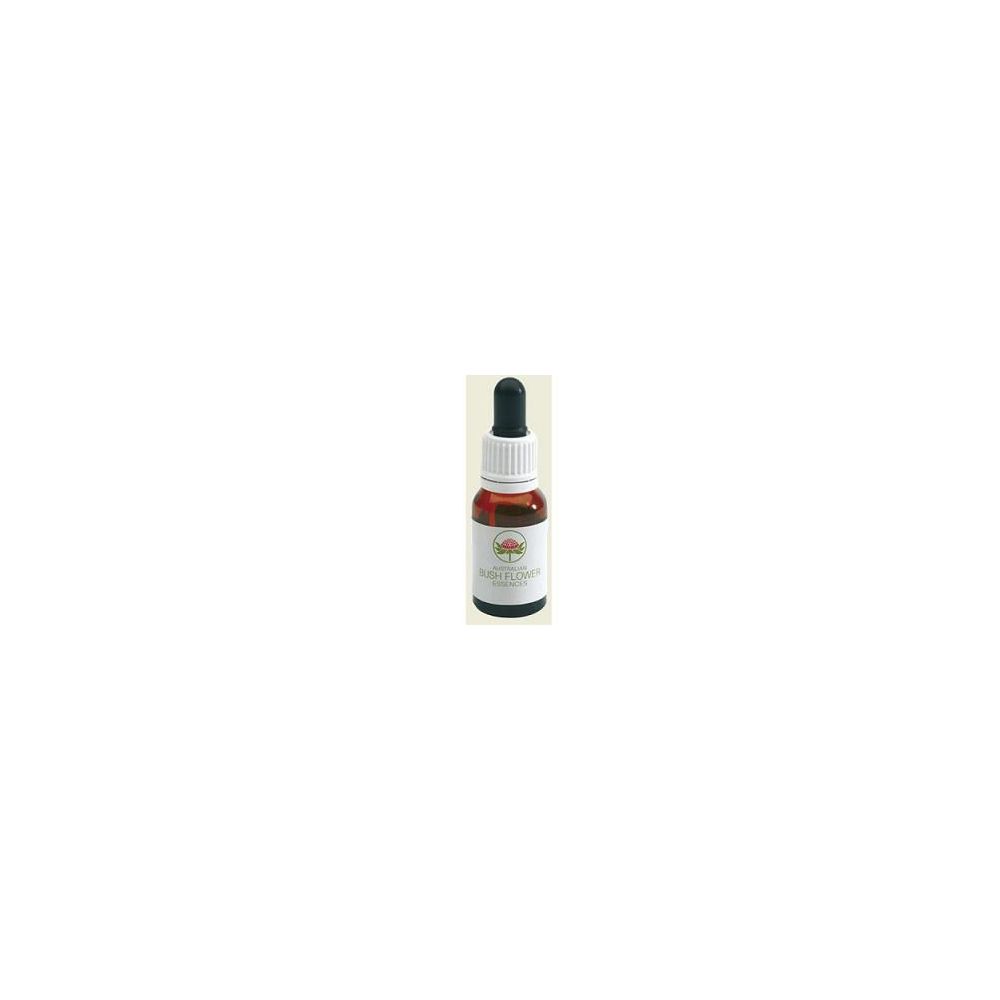 HIBBERTIA 15ML GTT