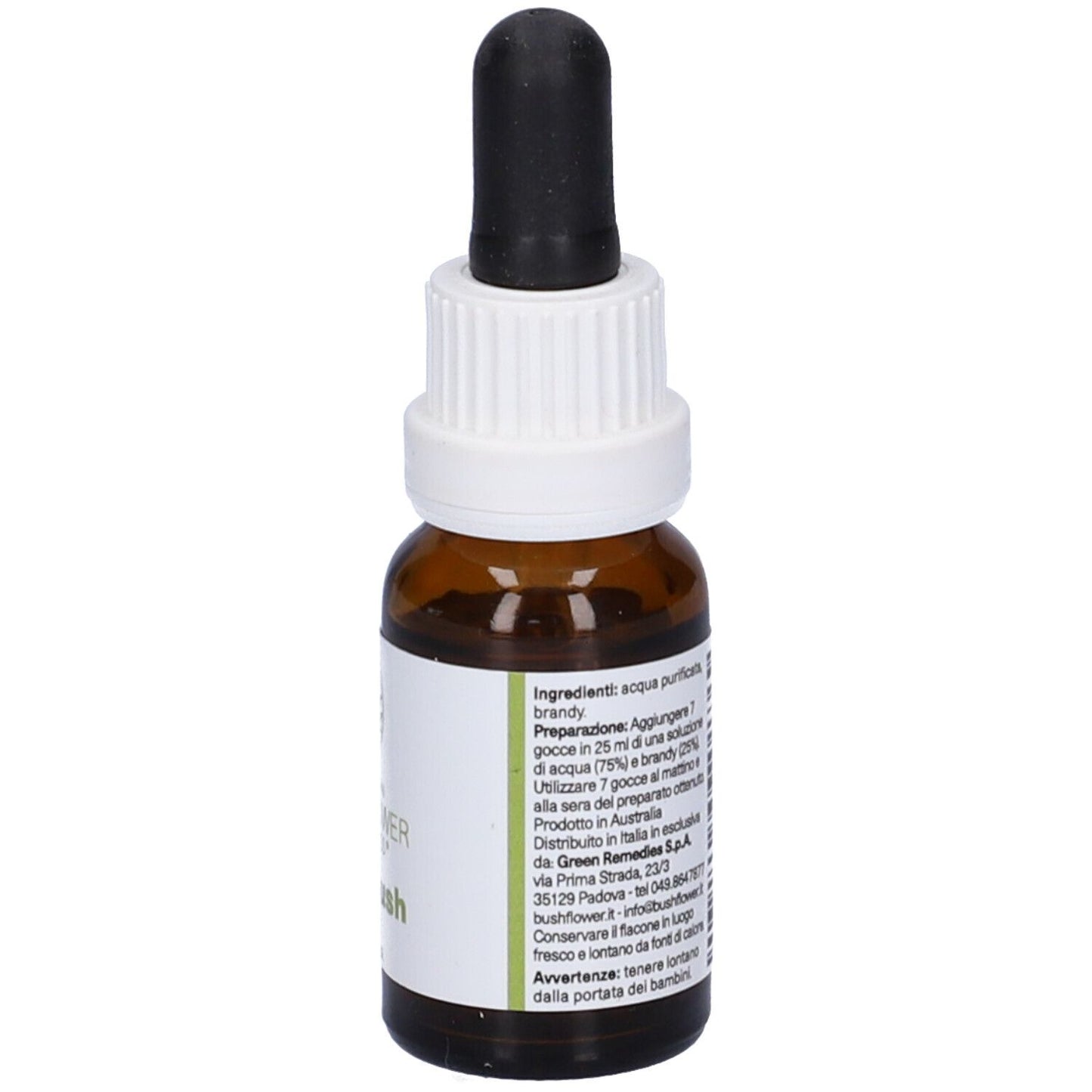 MINT BUSH 15ML GTT
