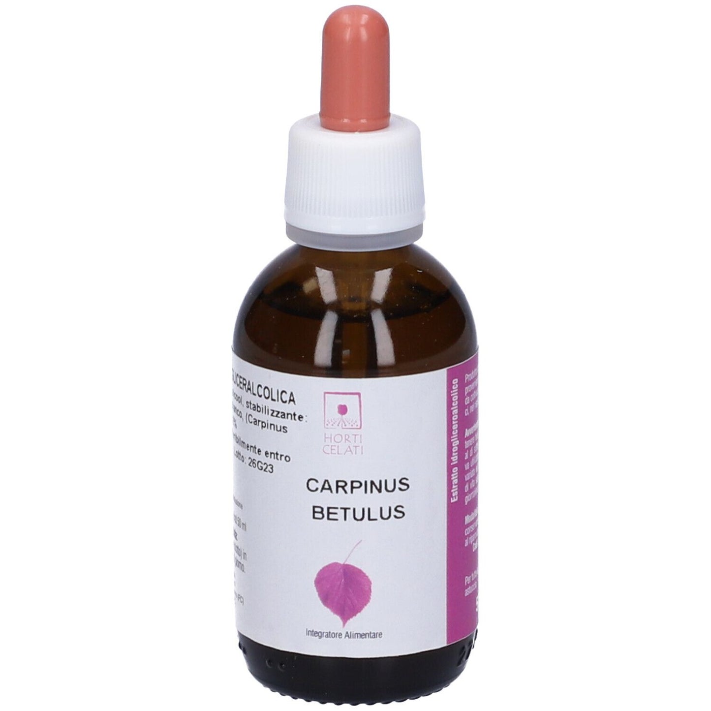 CARPINUS BETULUS 50ML SANTIVER