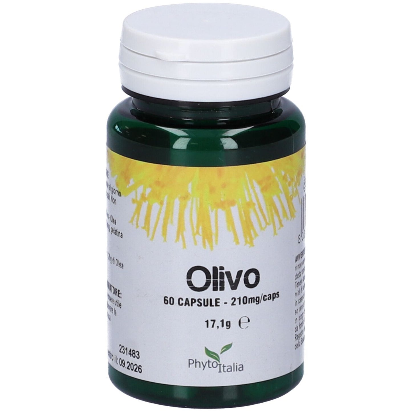 904795453 - OLIVO 60CPS