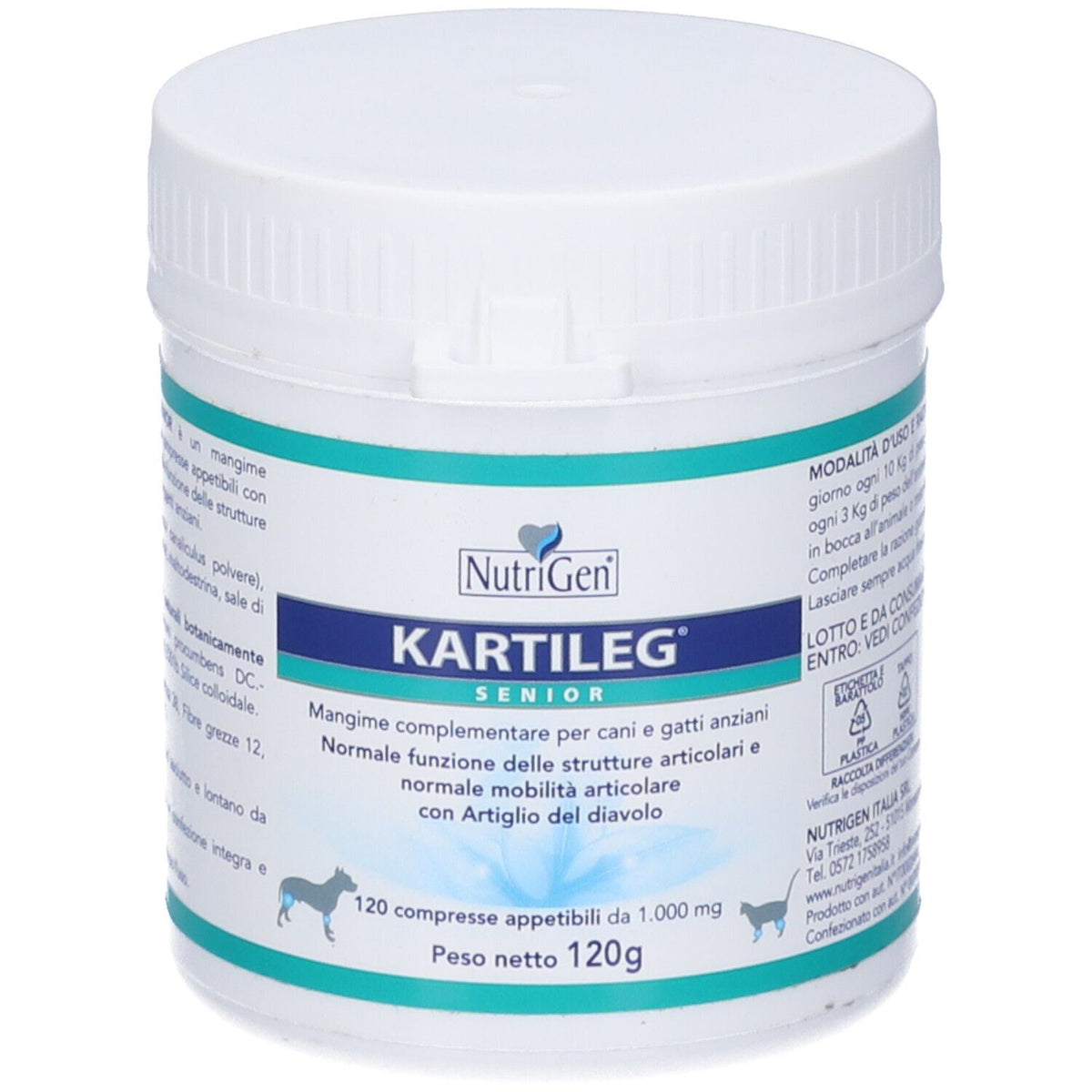 904912425 - KARTILEG SENIOR 120 TAV