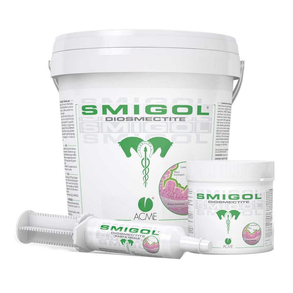 904925017 - SMIGOL PASTA 1 SIRINGA 100G