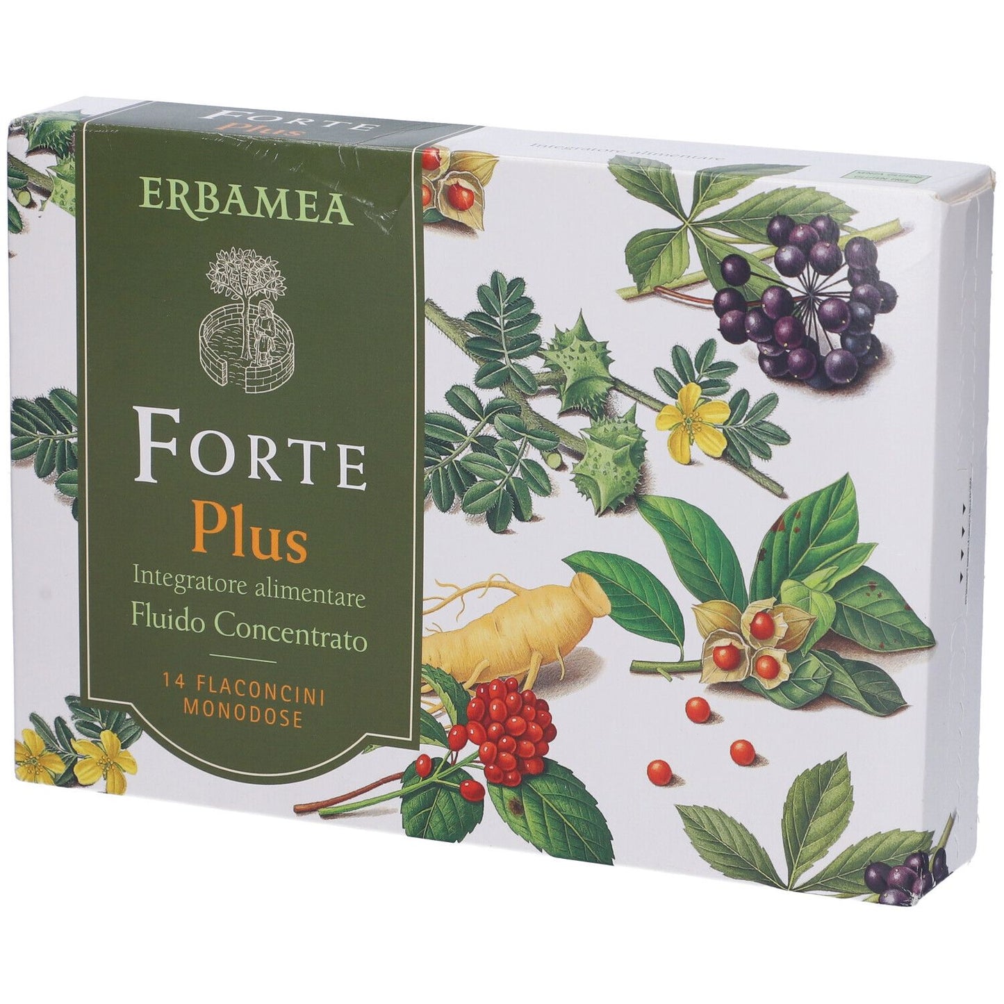 922374347 - FORTE PLUS 14FL MONOD 10ML