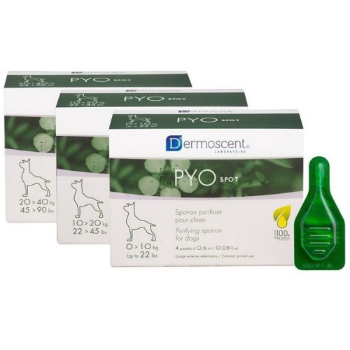 PYO Spot Cane 20-40Kg
