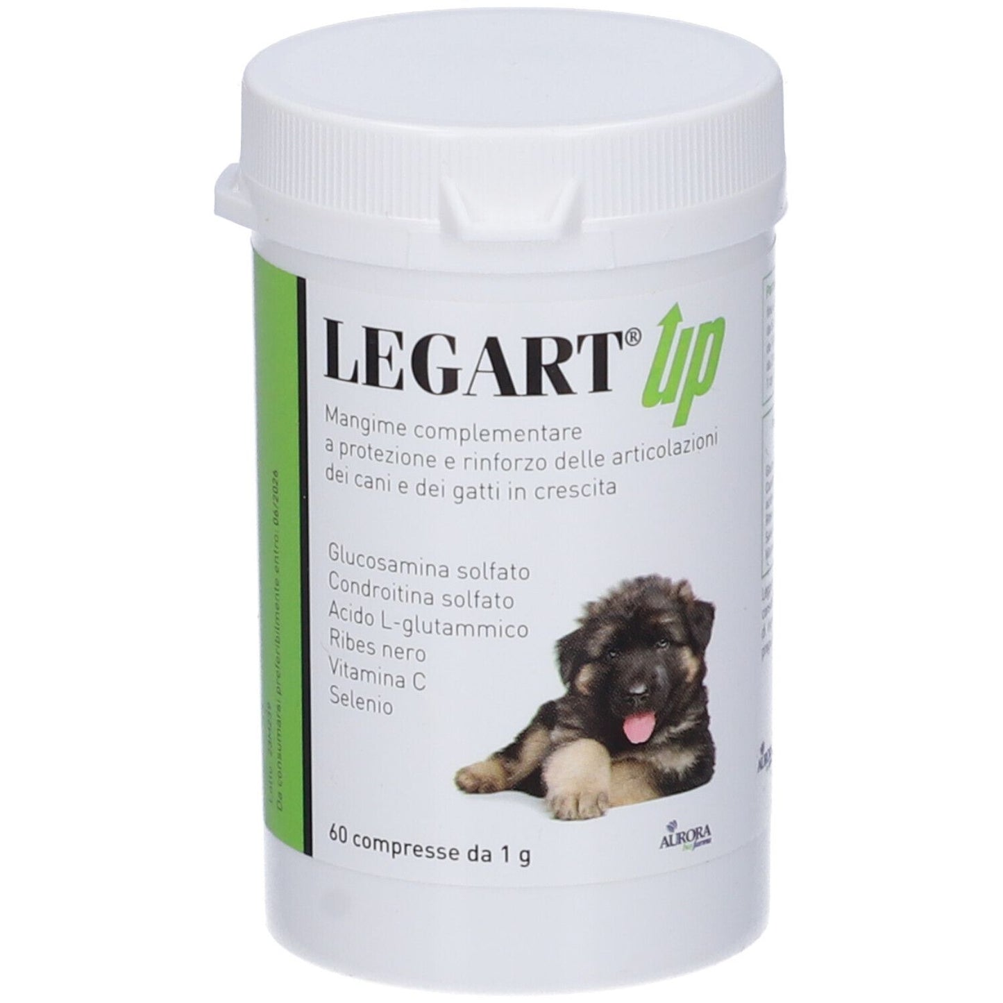 LEGART UP 60CPR