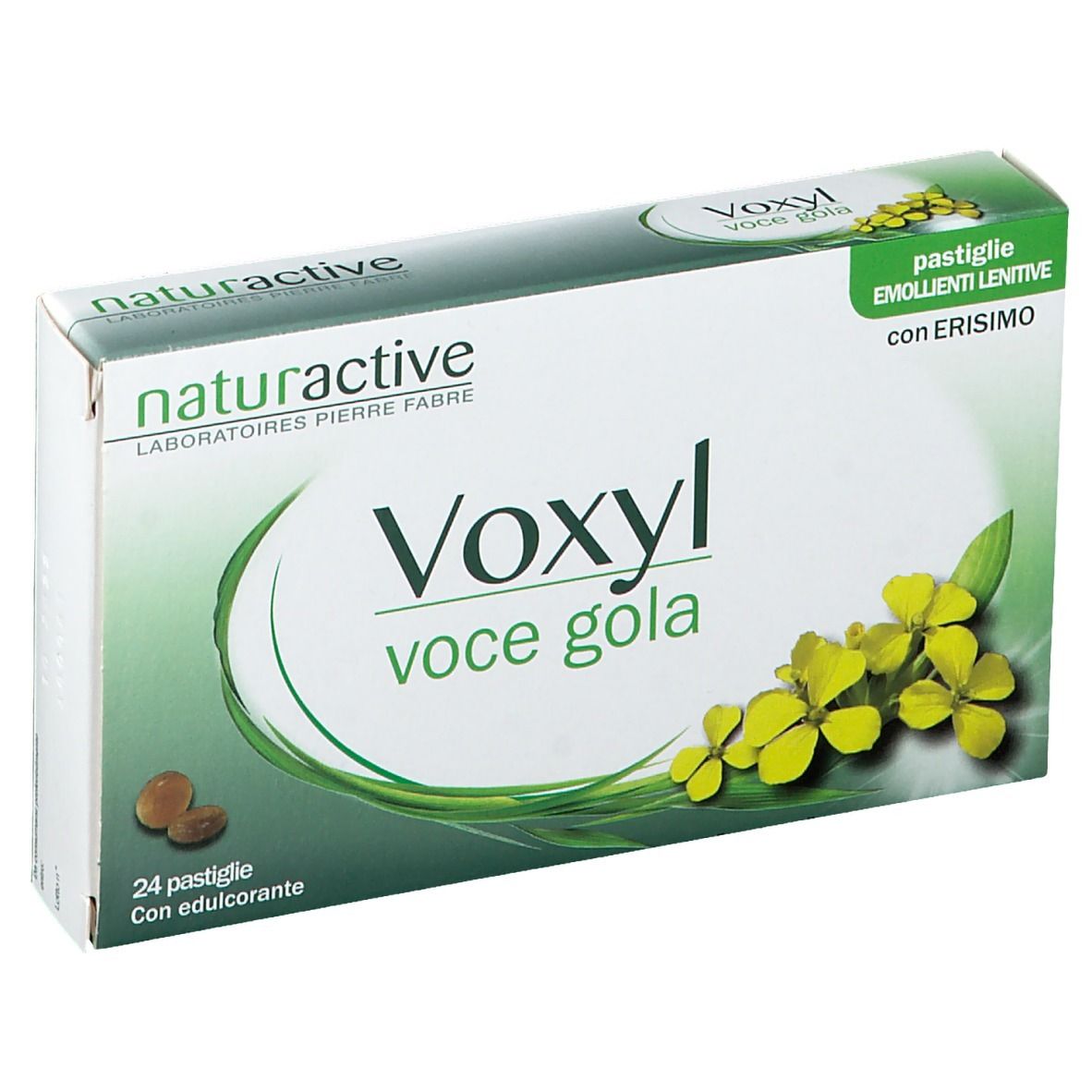 939281655 - VOXYL VOCE GOLA 24PAST 60G