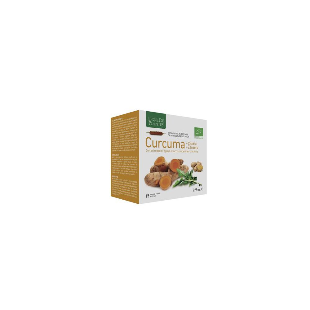 CURCUMA CICORIA ZENZERO 15FLL