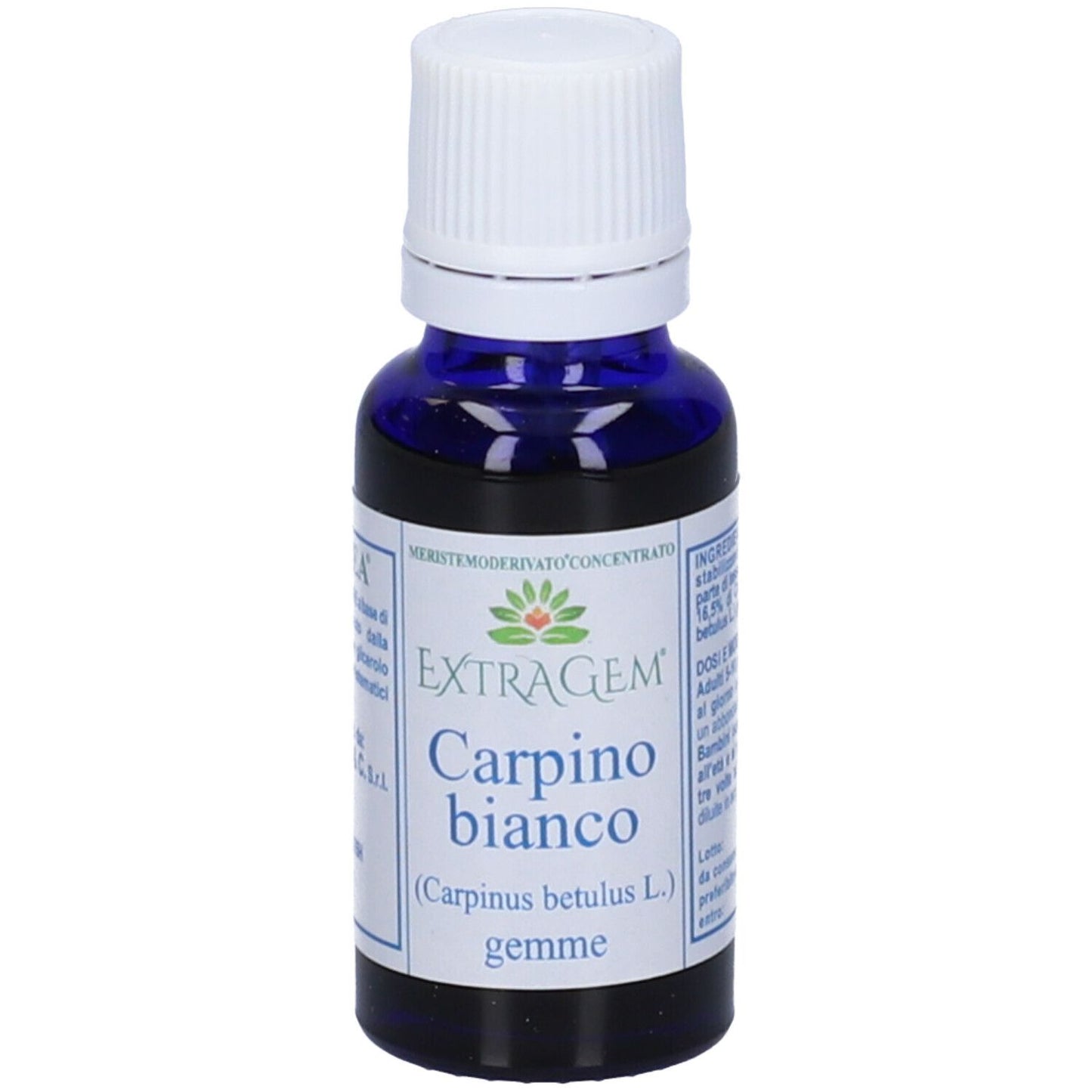 EXTRAGEM Carpino Gemme 20ml