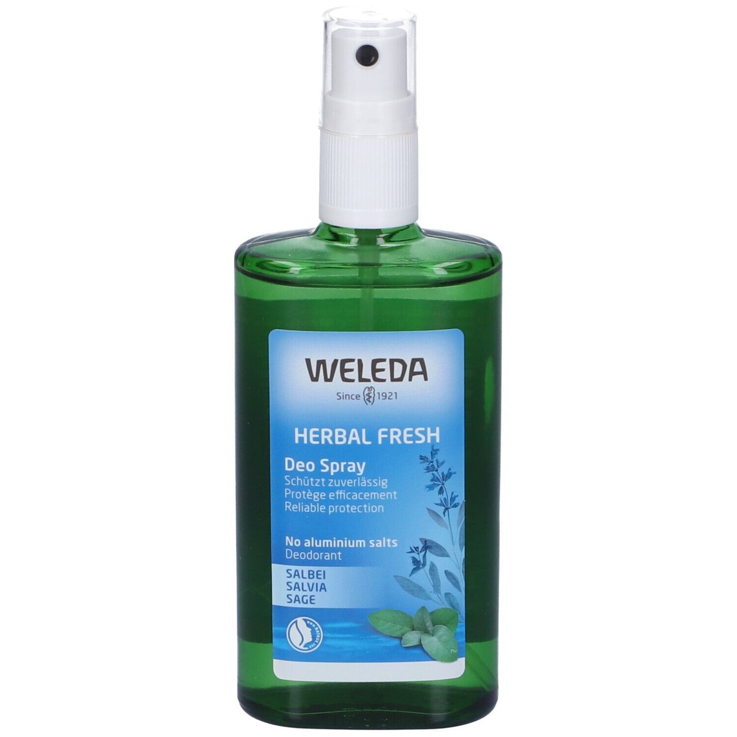 979406877 - DEODORANTE SPRAY SALVIA 100ML