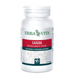 CAIGUA 60CPS 400MG ERBAVITA