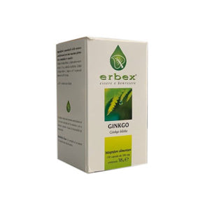 GINKGO BILOBA 100CPS 380MG
