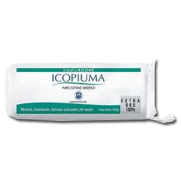 Icopiuma cotone indiano 250g
