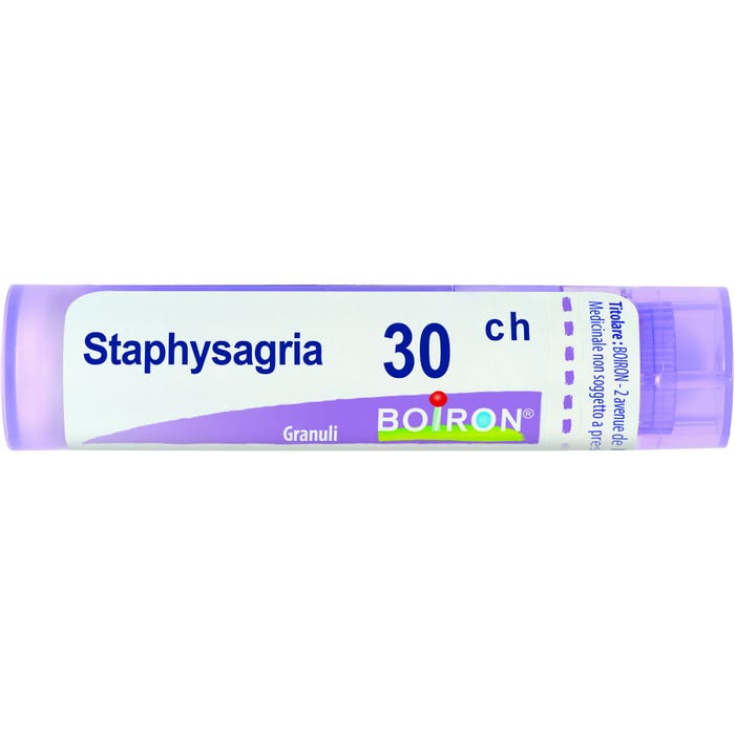 STAPHYSAGRIA BOI 30CH 80GR 4G