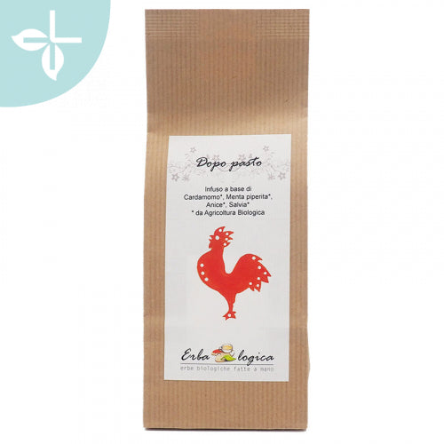 ERBALOGICA DOPOPAST 15FILT 18G