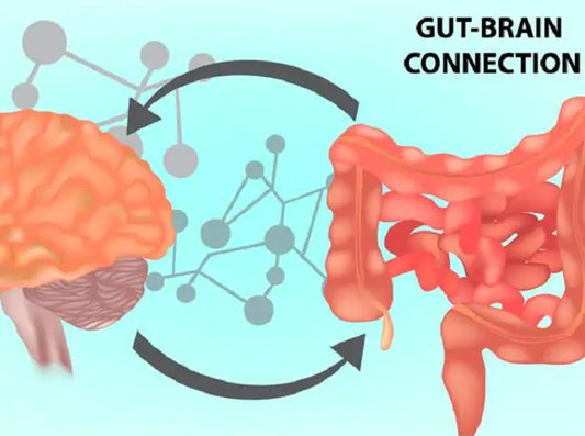  gestione-ibs-pnei-omeopatia