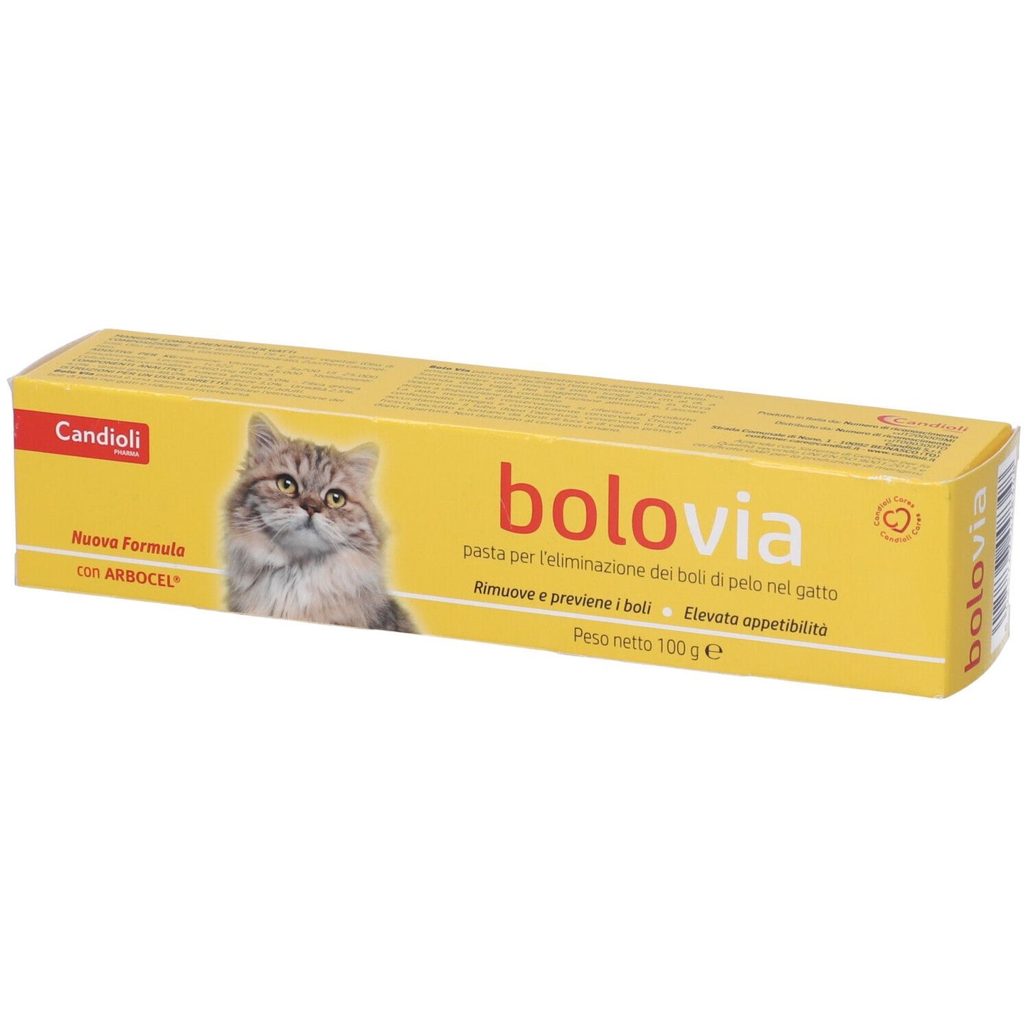BOLO VIA PASTA GATTI 100 GR