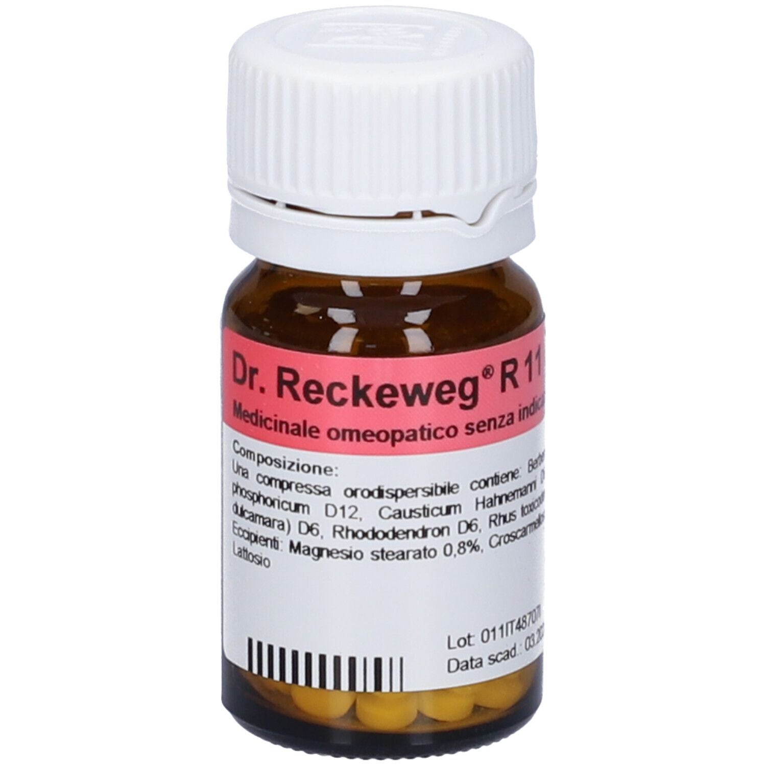 RECKEWEG R11 100CPR 0,1G