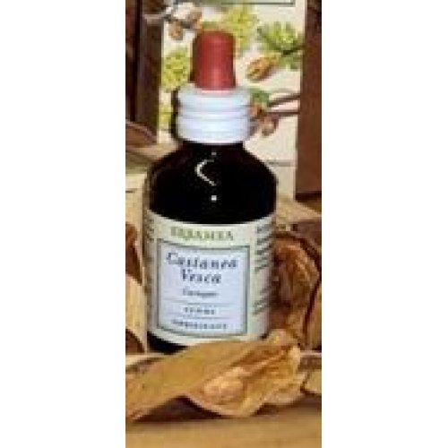 CASTANEA VESCA GEMME GD BIO
