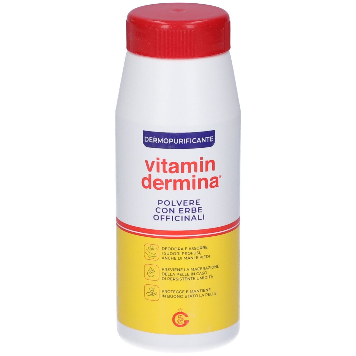 VITAMINDERMINA POLVERE ERB100G