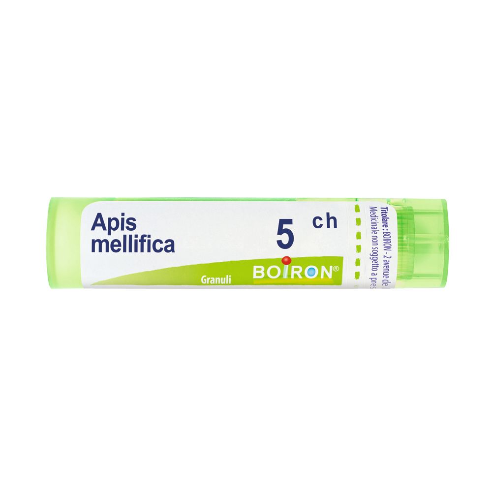 APIS MELLIFICA 5CH GR BO