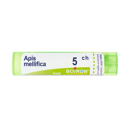 APIS MELLIFICA 5CH GR BO