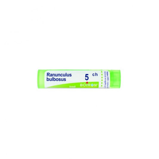 RANUNCULUS BULBOSUS 5CH GR