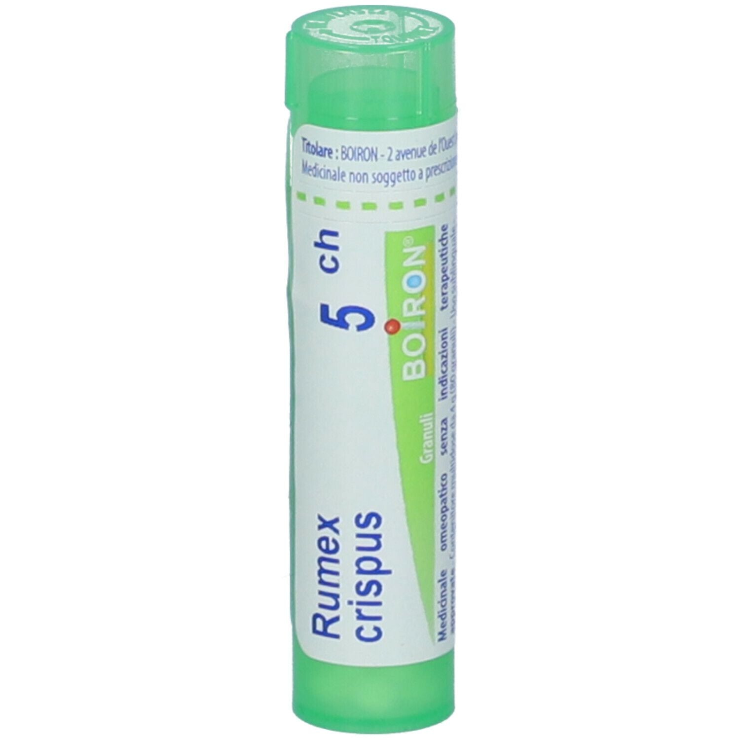 RUMEX CRISPUS 5CH GR