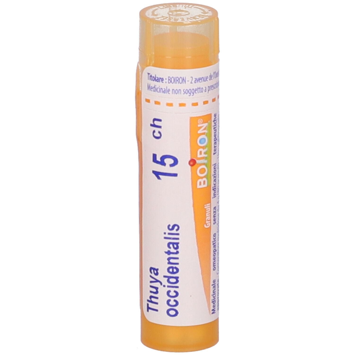 THUYA OCC 15CH GR
