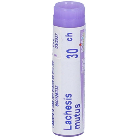 LACHESIS MUTUS 30CH GL BO
