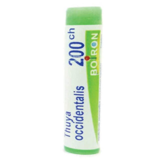 THUYA OCCIDENT 200CH GL BO