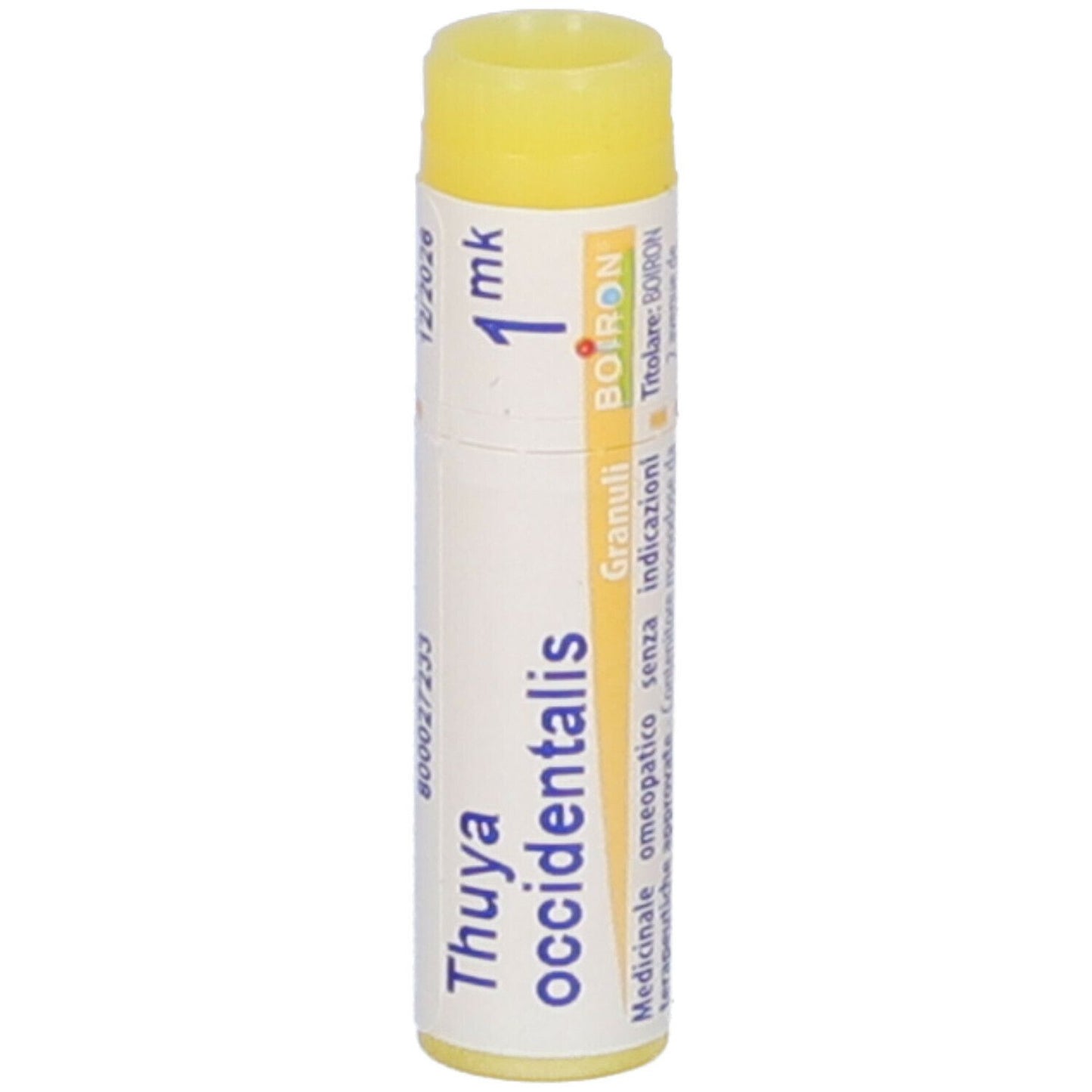 THUYA OCC MK GL