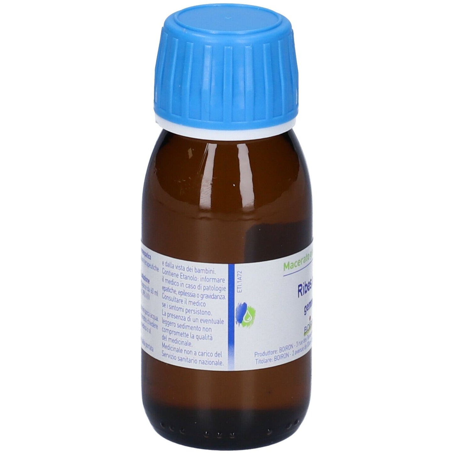 800028021 - RIBES NIGRUM GEMME 60ML MG