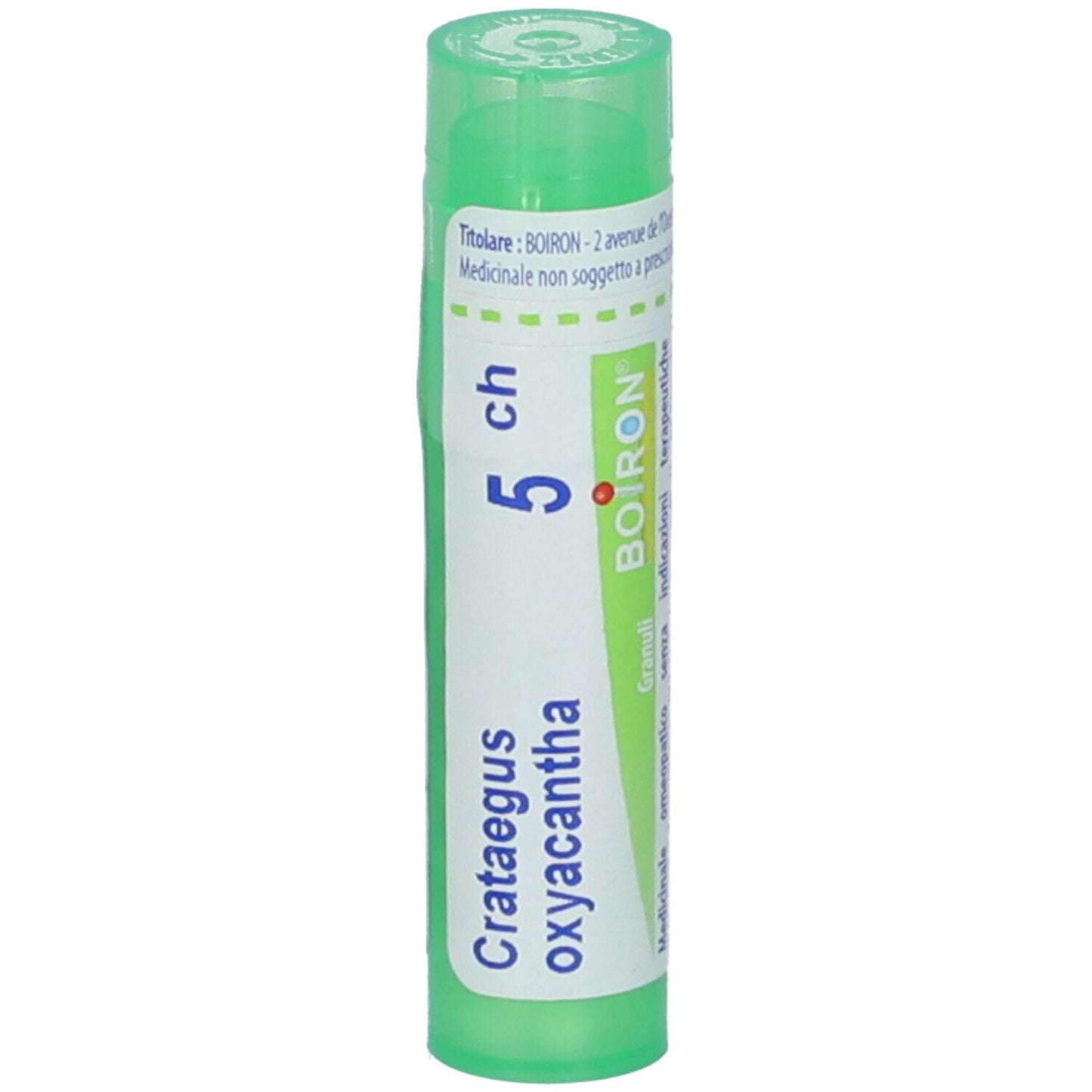CRATAEGUS OXYAC*BO* TG 5CH