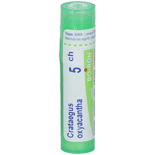 CRATAEGUS OXYAC*BO* TG 5CH