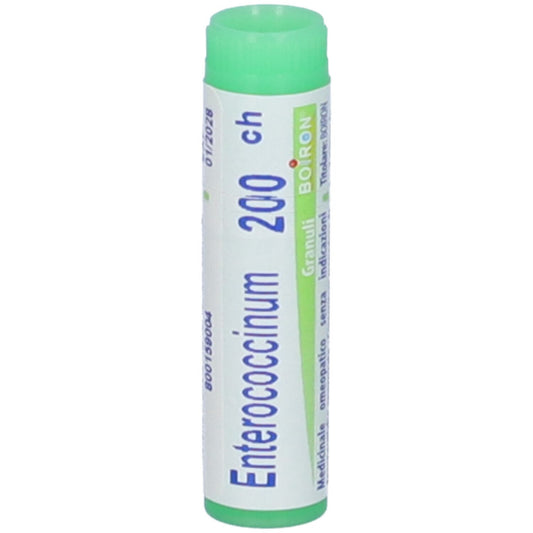 ENTEROCOCCINUM 200CH GL