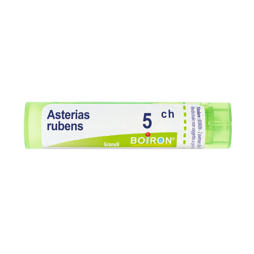 ASTERIAS RUBENS Tubo  5CH