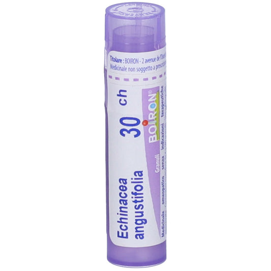 ECHINACEA ANGUS.Tubo 30CH