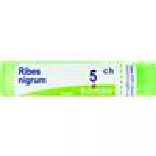 RIBES NIGRUM 5CH GR 4G