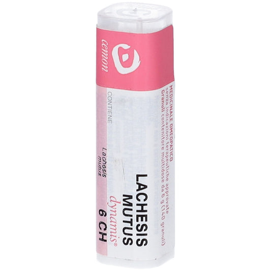LACHESIS MUTUS 6CH GR
