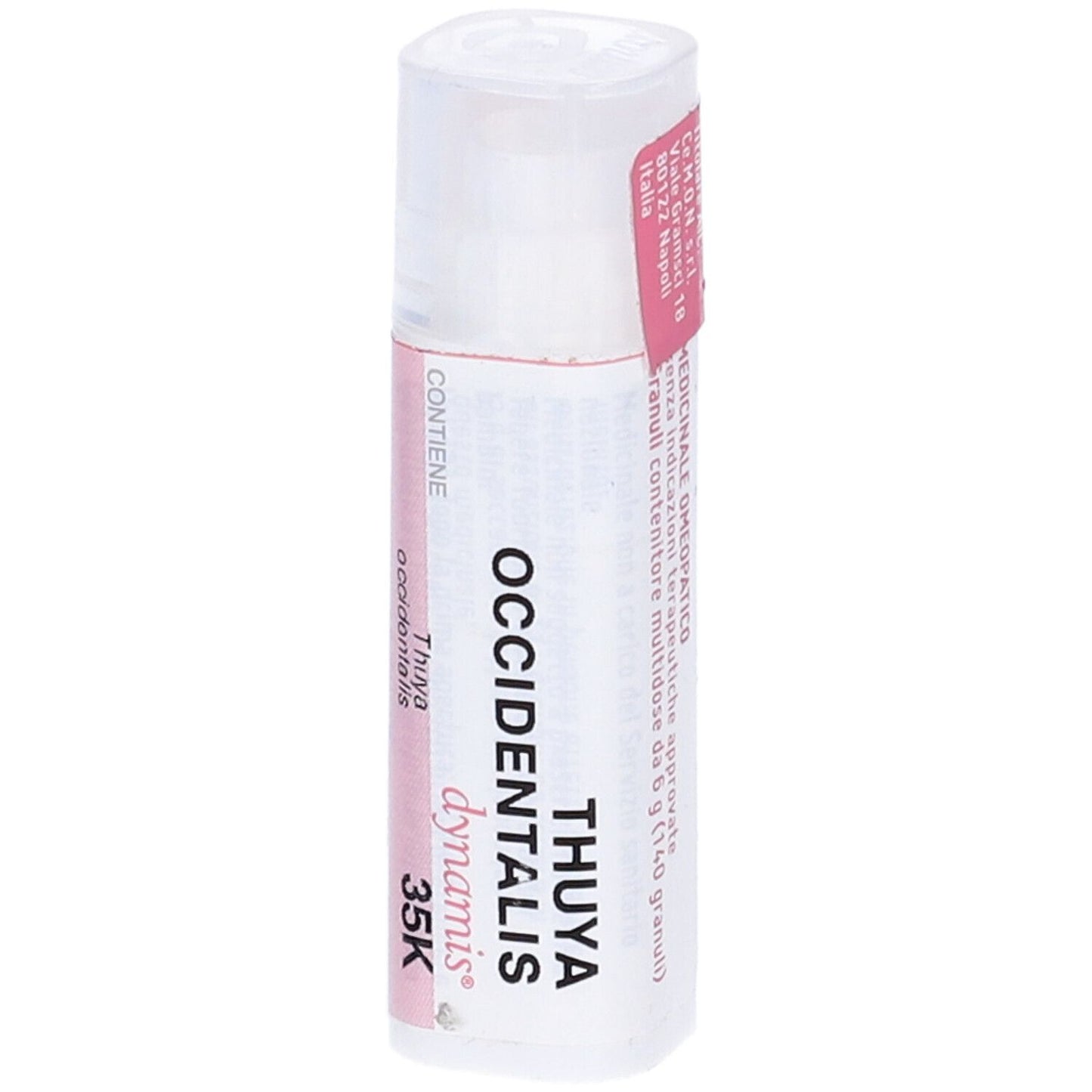 THUYA OCC.Tubo - 35K