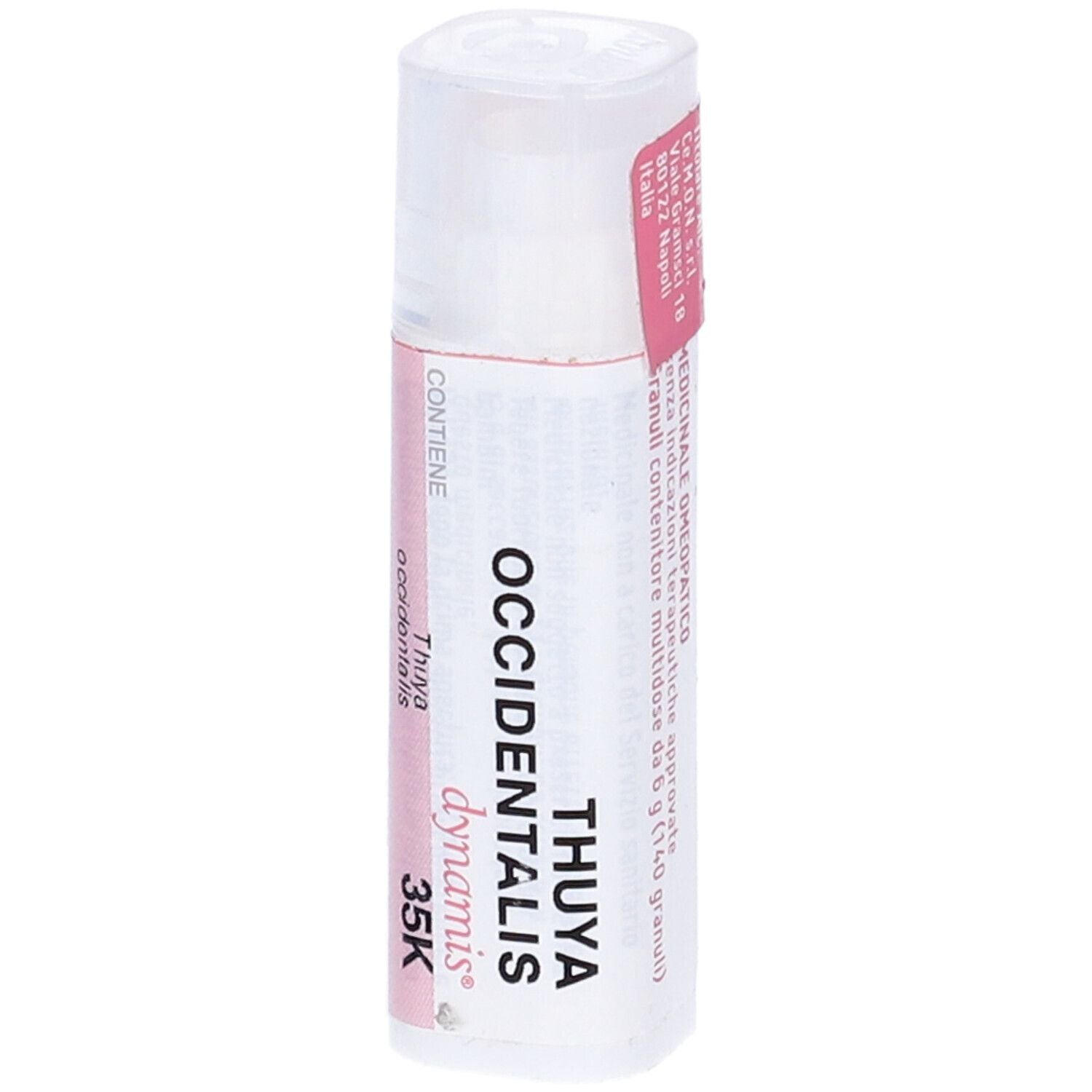 THUYA OCC.Tubo - 35K