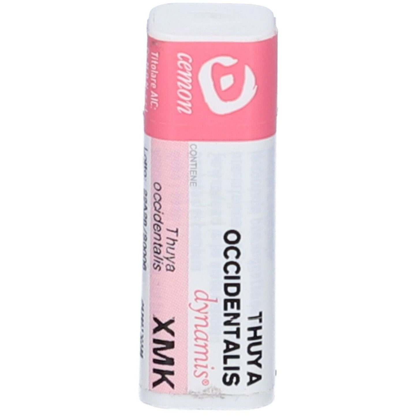 THUYA OCCIDENT XMK GL
