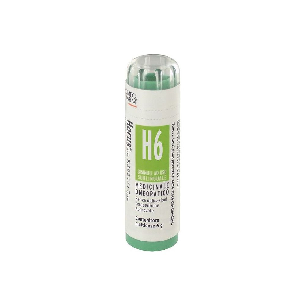 HORUS H6 GRAN  CEMON