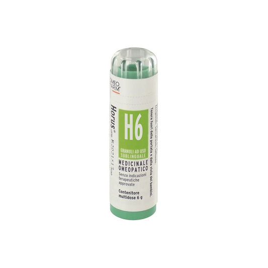 HORUS H6 GRAN  CEMON