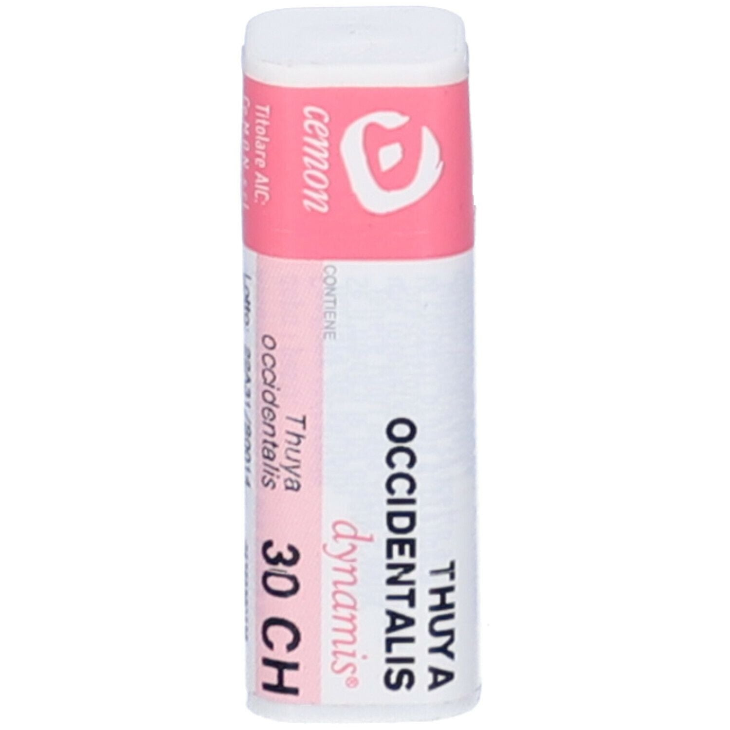 THUYA OCCIDENT 30CH GL