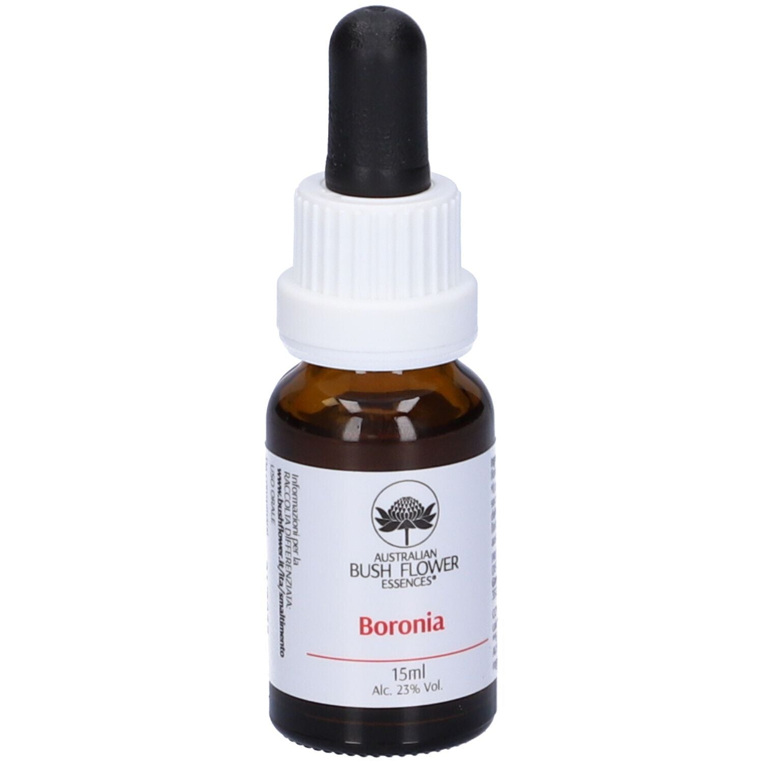 BORONIA AUSTRALIAN 15ML GTT