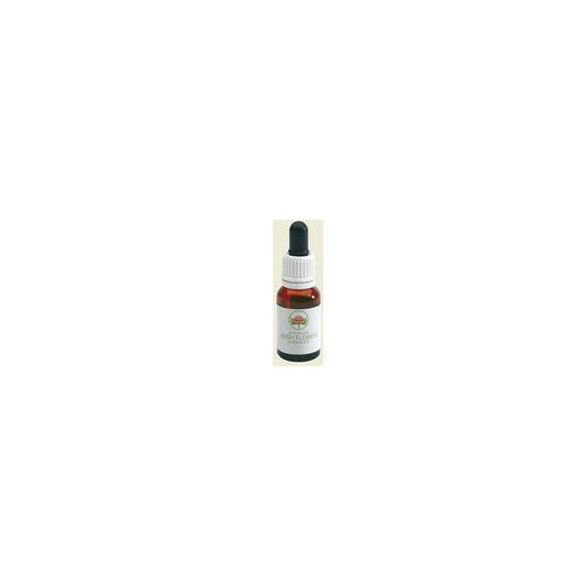 HIBBERTIA 15ML GTT