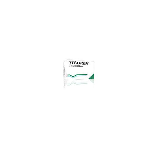 VIGOREN-INTEG ENERG 16 BS